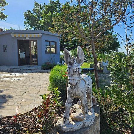 Villa Doci Zadar Buitenkant foto