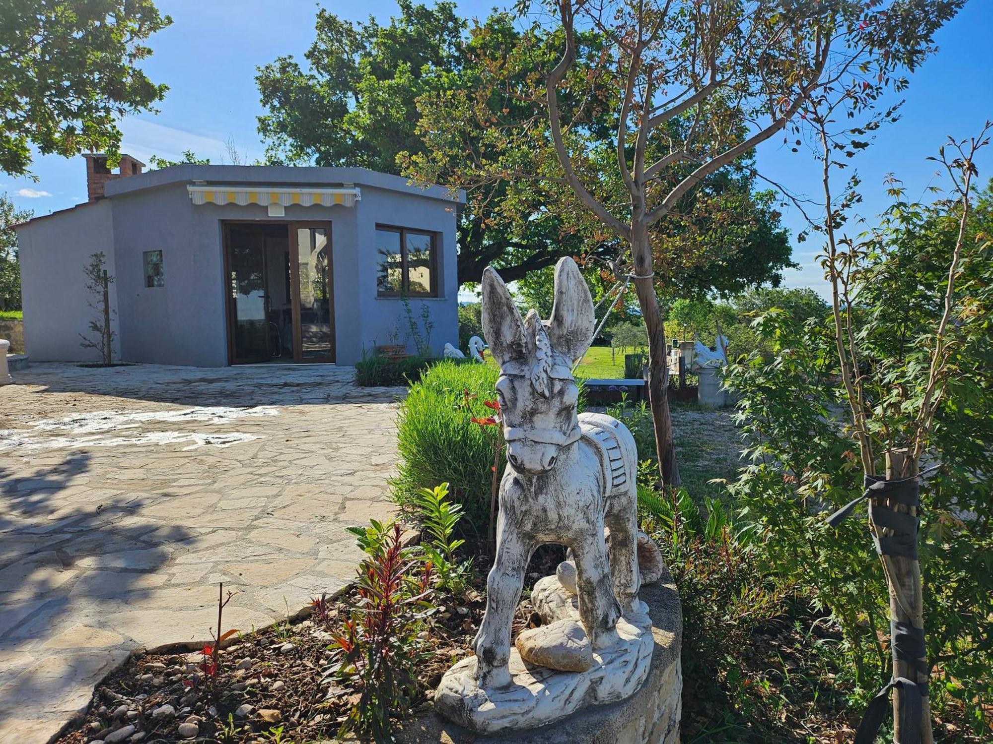 Villa Doci Zadar Buitenkant foto